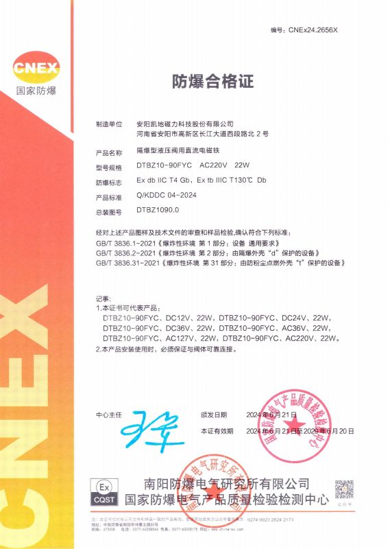 CNEx24.2656X DTBZ10-90FYC II ϸ֤ Ч2029620